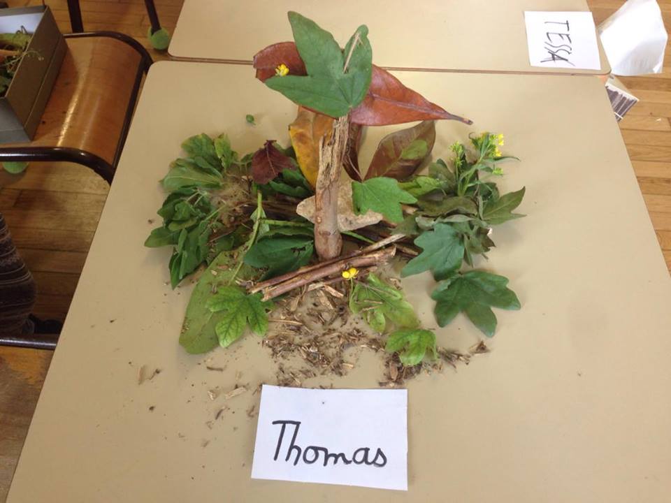 Thomas1d