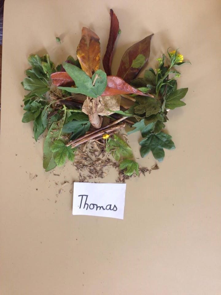 Thomas1a