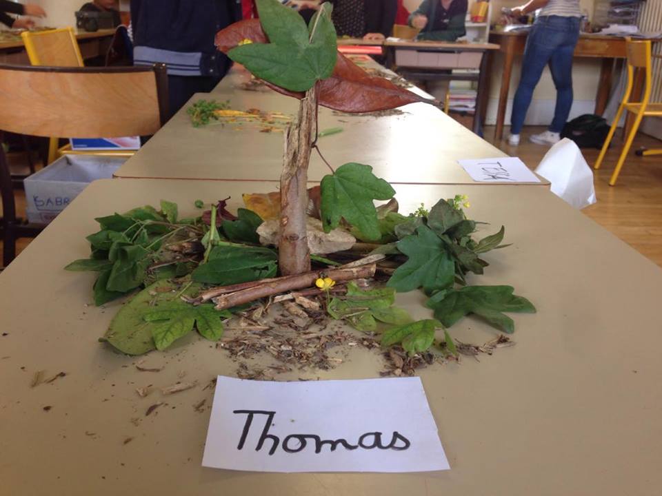 Thomas1b