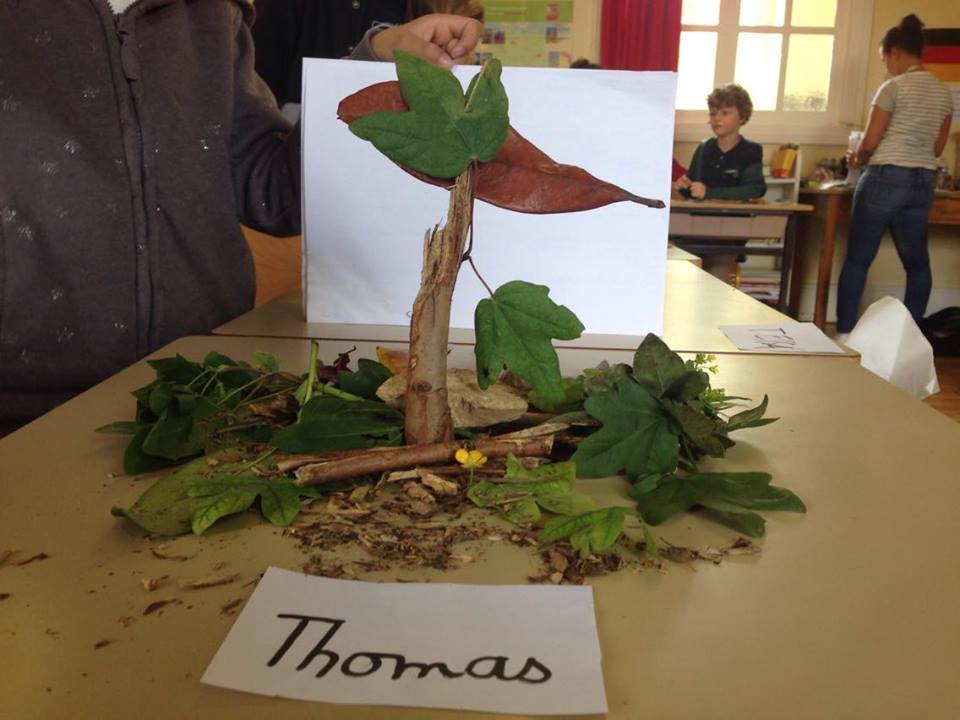 Thomas1c